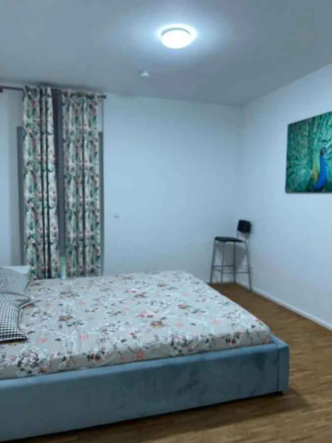Three Bedroom Apartment In City Centre With A Grand Garden Φραγκφούρτη